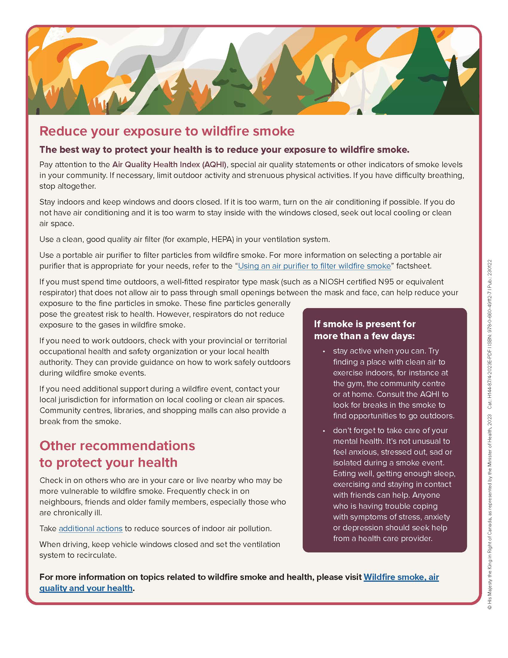 Protect Yourself from Wildfire Smoke – Nisga'a Valley Health Authority